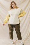 Curvy Color Block Sweater