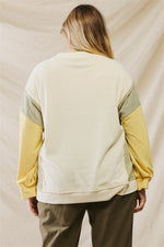 Curvy Color Block Sweater