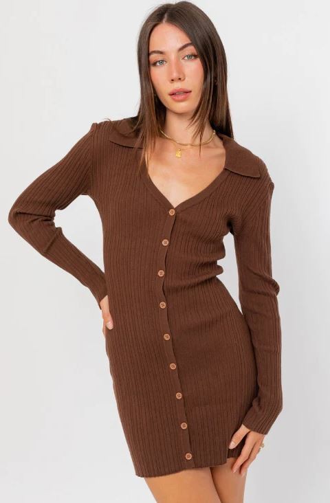 Brown Collared Long Sleeve Button-Up Mini Dress