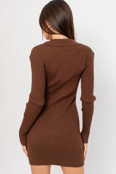 Brown Collared Long Sleeve Button-Up Mini Dress