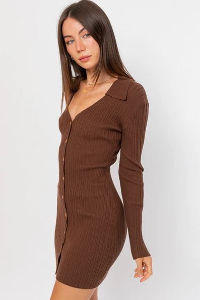 Brown Collared Long Sleeve Button-Up Mini Dress