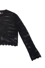 Mesh Knit Crop Sweater
